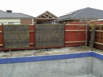 Photo15.JPG